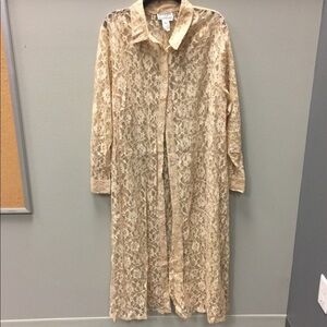 Vintage Lace Sheer Button Down Dress